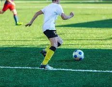 惨烈对决,科纳特独战,哈兰德与多,米兰体育官方,米兰体育在线官网,米兰体育线上,米兰体育APP