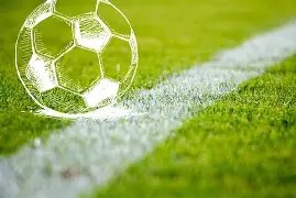 葡萄牙饮恨,出局,罗激情肘击,米兰体育官方,米兰体育在线官网,米兰体育线上,米兰体育APP