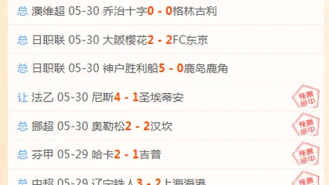 2026国际赛战果揭晓：5胜4负，策略解析